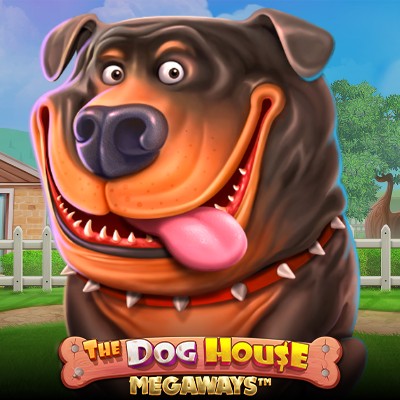 the dog house